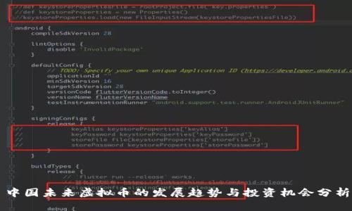 中国未来虚拟币的发展趋势与投资机会分析