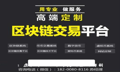 : 虚拟币的功能界定与应用解析