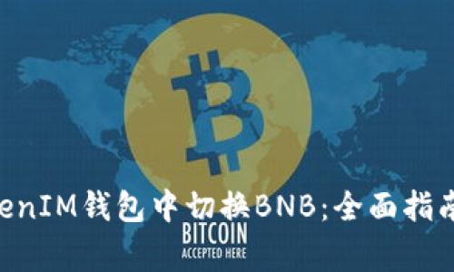如何在TokenTokenIM钱包中切换BNB：全面指南与常见问题解答