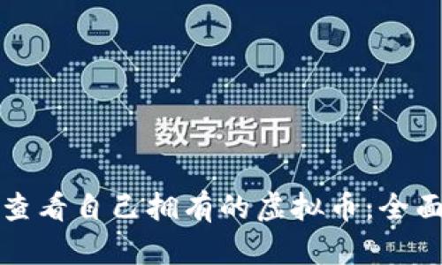 如何查看自己拥有的虚拟币：全面指南