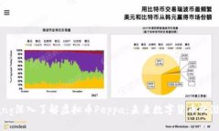 jinjianzaizhang深入了解虚拟