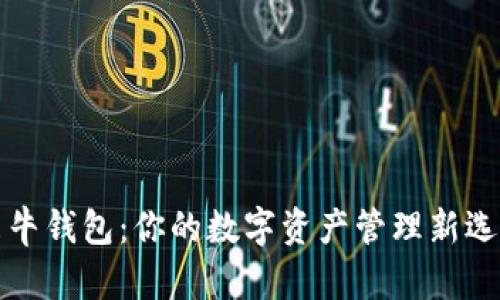 飞牛钱包：你的数字资产管理新选择
