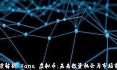 深度解析 Xana 虚拟币：未