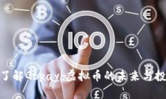 : 深入了解Gopay：虚拟币的