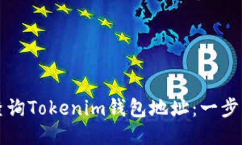 如何查询Tokenim钱包地址：一步步指南
