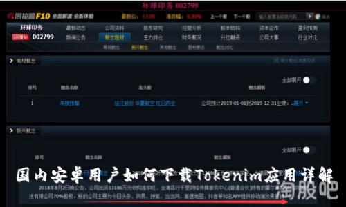 国内安卓用户如何下载Tokenim应用详解