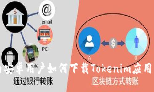 国内安卓用户如何下载Tokenim应用详解