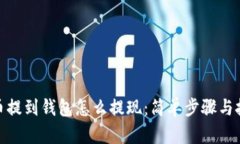 : 虚拟币提到钱包怎么提现