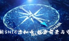 深入解析SNIC虚拟币：投资