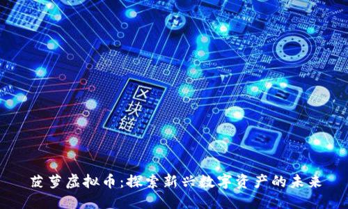 菠萝虚拟币：探索新兴数字资产的未来