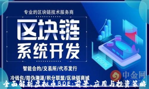
全面解析虚拟币BDE：前景、应用与投资策略