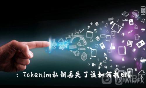 : Tokenim私钥丢失了该如何找回？