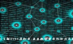 深入了解SYBC虚拟币：未来