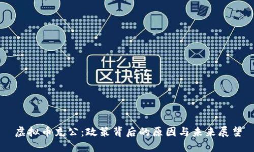 虚拟币充公：政策背后的原因与未来展望