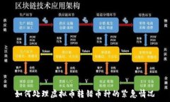   如何处理虚拟币转错币种