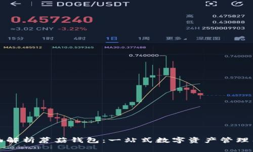 全面解析蘑菇钱包：一站式数字资产管理工具