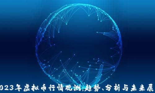 
2023年虚拟币行情观测：趋势、分析与未来展望