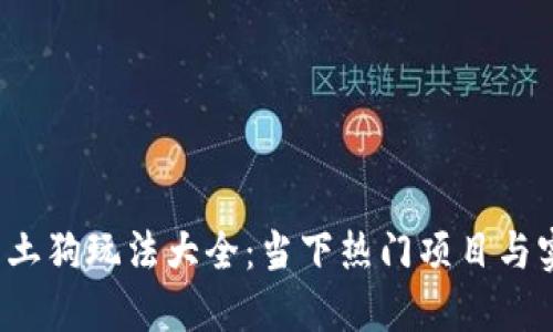  虚拟币土狗玩法大全：当下热门项目与实战指南