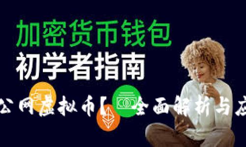 什么是公网虚拟币？—全面解析与应用前景