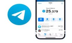 Tokenim钱包——安全便捷的数字资产管理工具