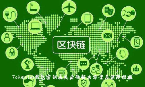 Tokenim钱包密钥丢失后的解决方案与保障措施