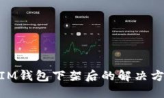  TokenTokenIM钱包下架后的解决方案与替代选择