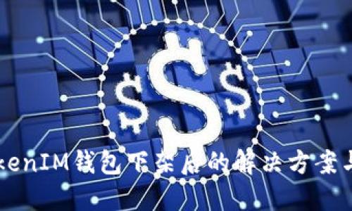  TokenTokenIM钱包下架后的解决方案与替代选择
