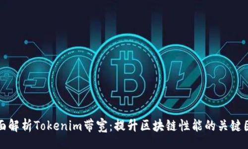 br
全面解析Tokenim带宽：提升区块链性能的关键因素