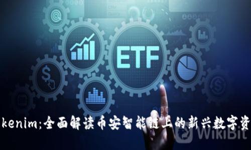 Tokenim：全面解读币安智能链上的新兴数字资产