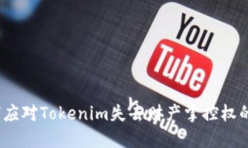: 如何应对Tokenim失去财产掌控权的风险？