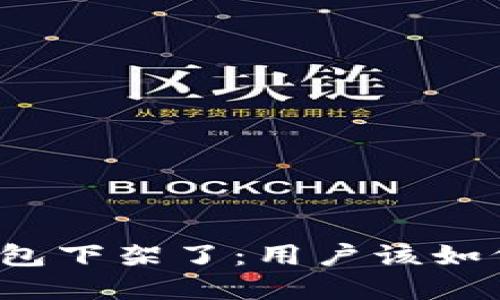 TokenTokenIM钱包下架了：用户该如何应对及未来选择