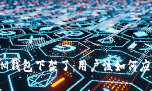 TokenTokenIM钱包下架了：用户该如何应对及未来选择