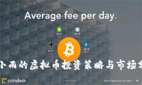 王小雨的虚拟币投资策略与市场分析