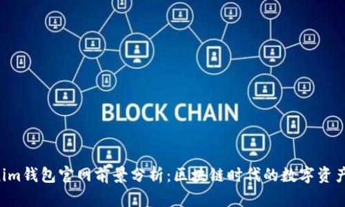 Tokentokenim钱包官网前景分析：区块链时代的数字资产保护与管理