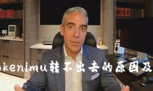 ### Tokenimu转不出去的原因及解决方案