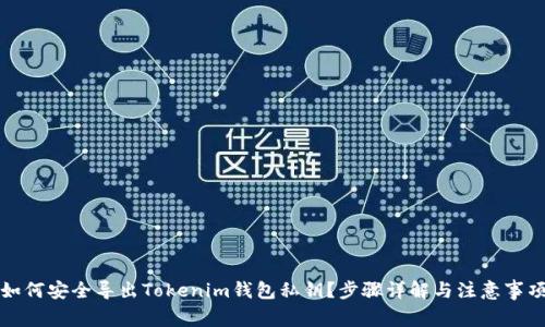 如何安全导出Tokenim钱包私钥？步骤详解与注意事项