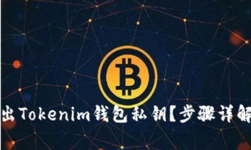 如何安全导出Tokenim钱包私钥？步骤详解与注意事项