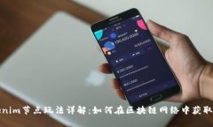 Tokenim节点玩法详解：如何