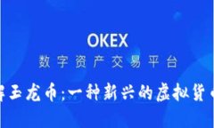 : 深入了解玉龙币：一种新