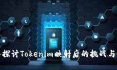 深入探讨Tokenim映射后的挑