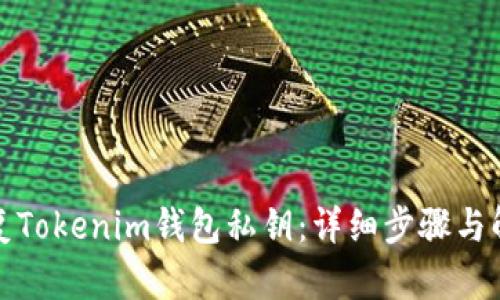 如何恢复Tokenim钱包私钥：详细步骤与解决方案