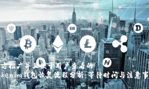 地方推广并且便于用户查看的
Tokenim钱包恢复流程分析：等待时间与注意事项