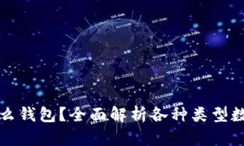 虚拟币交易用什么钱包？全面解析各种类型数字货币钱包选择