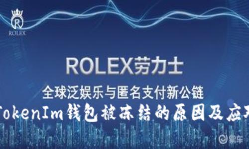 了解TokenIm钱包被冻结的原因及应对策略