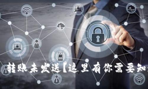 Tokenim 转账未发送？这里有你需要知道的一切