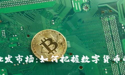 揭秘虚拟币批发市场：如何把握数字货币的机遇与风险