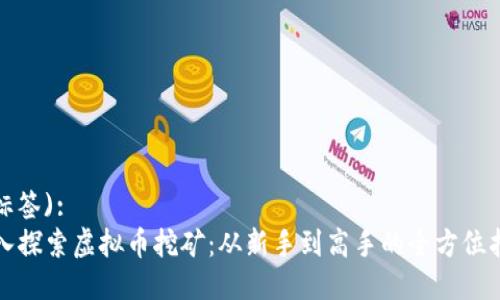 (标签):
深入探索虚拟币挖矿：从新手到高手的全方位指南