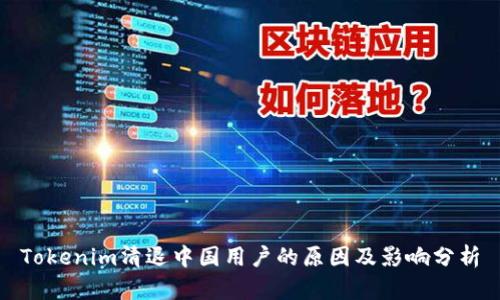 Tokenim清退中国用户的原因及影响分析