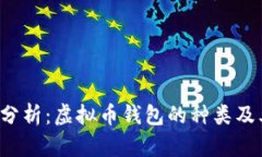  全面分析：虚拟币钱包的