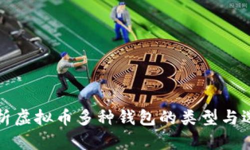 全面解析虚拟币多种钱包的类型与选择指南